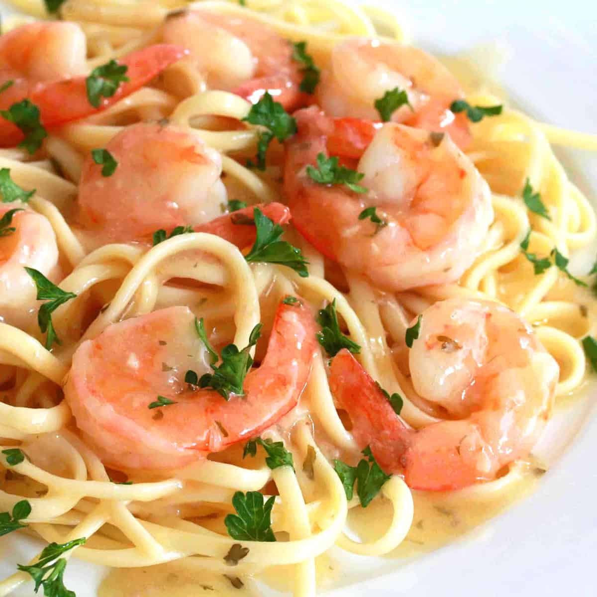 shrimp scampi recipe lemon garlic white wine pasta linguine best easy fast quick