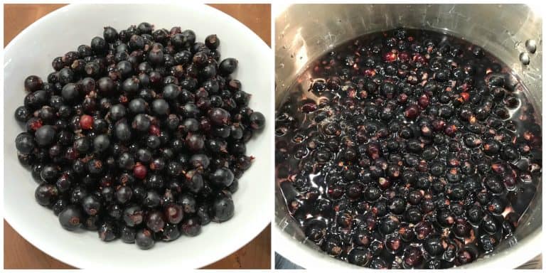 adding berries to pot with water