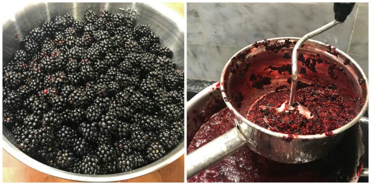 putting berries through food mill