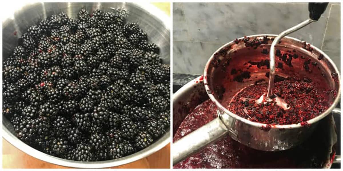 running blackberries through a food mill