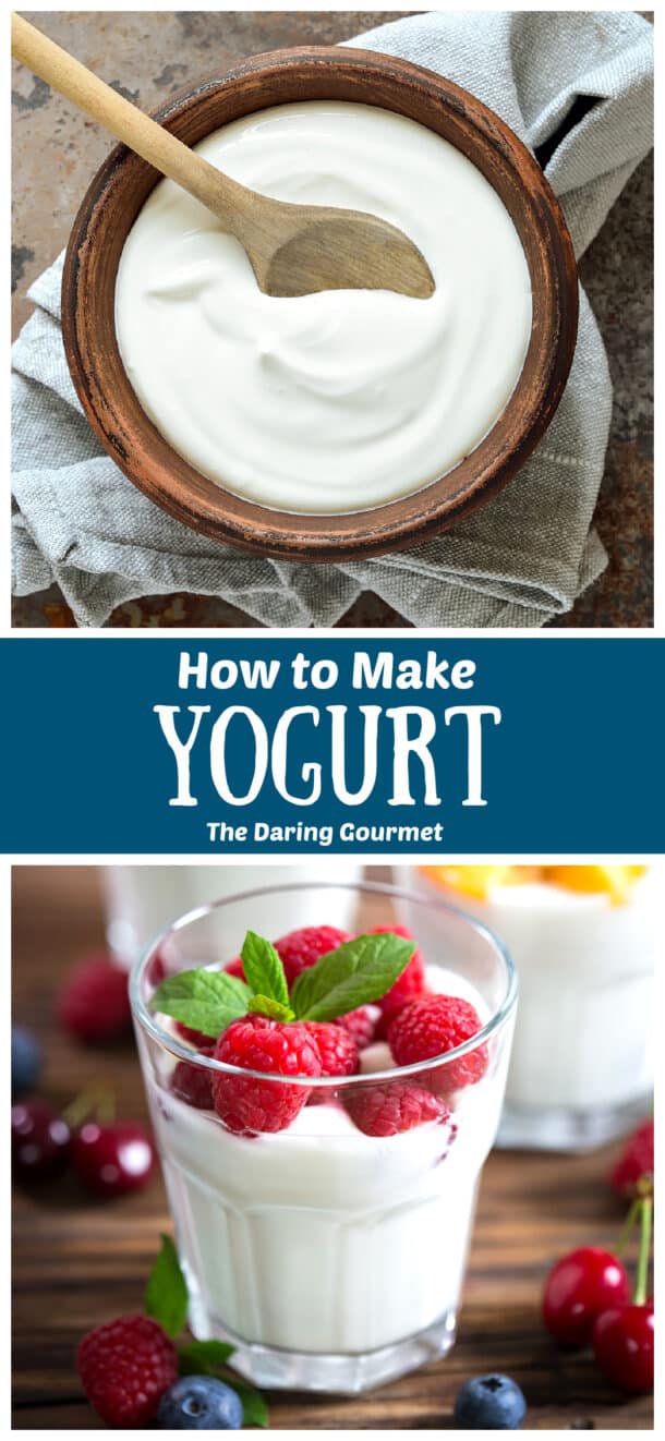 How To Make Yogurt The Daring Gourmet