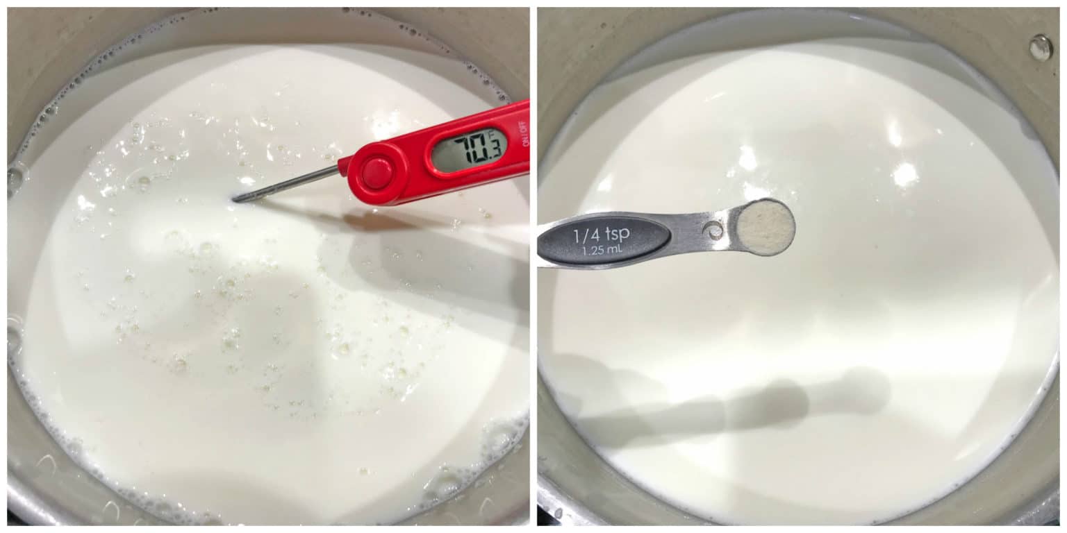How To Make Quark Cheese The Daring Gourmet