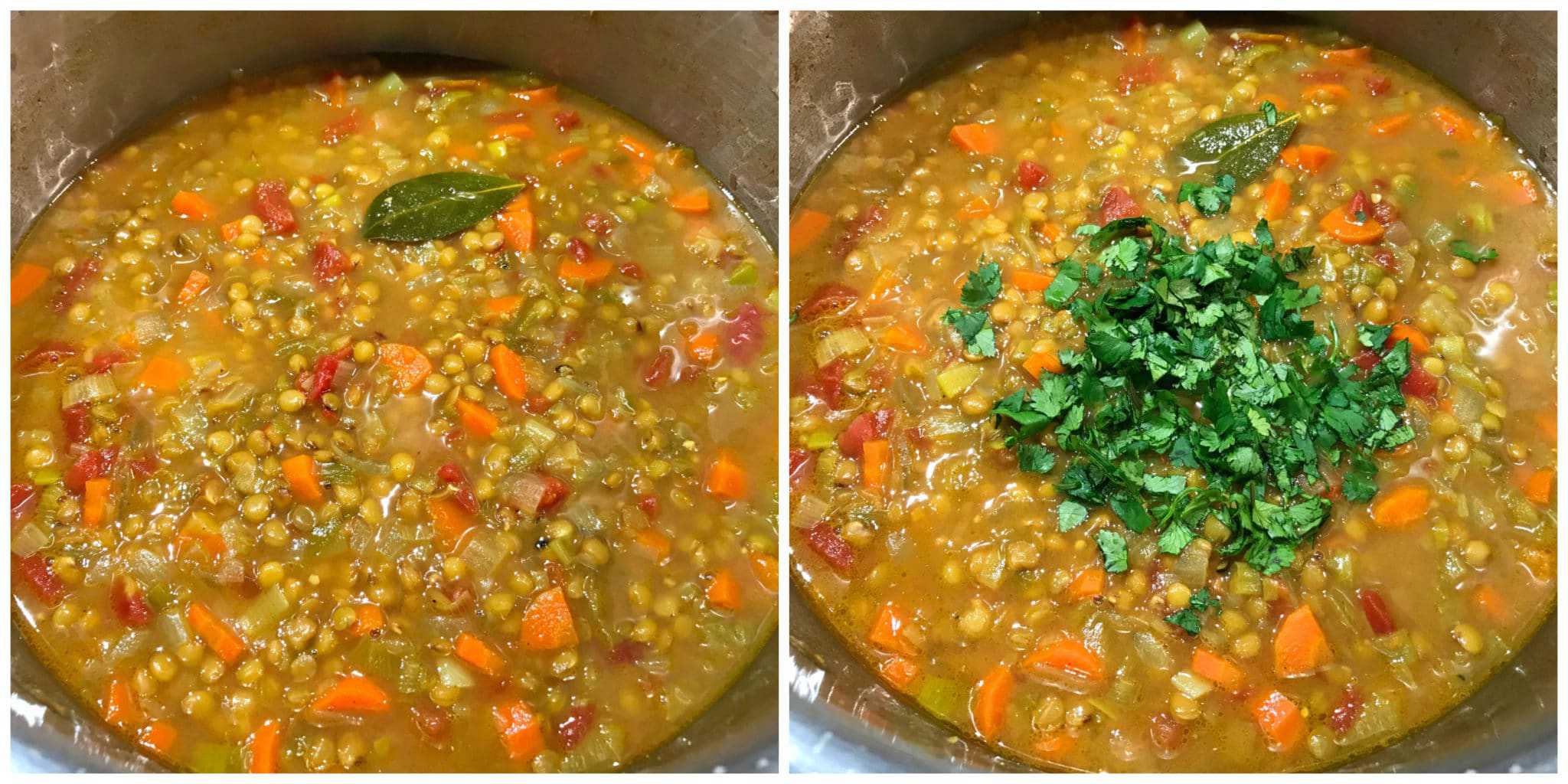 curried lentil soup recipe