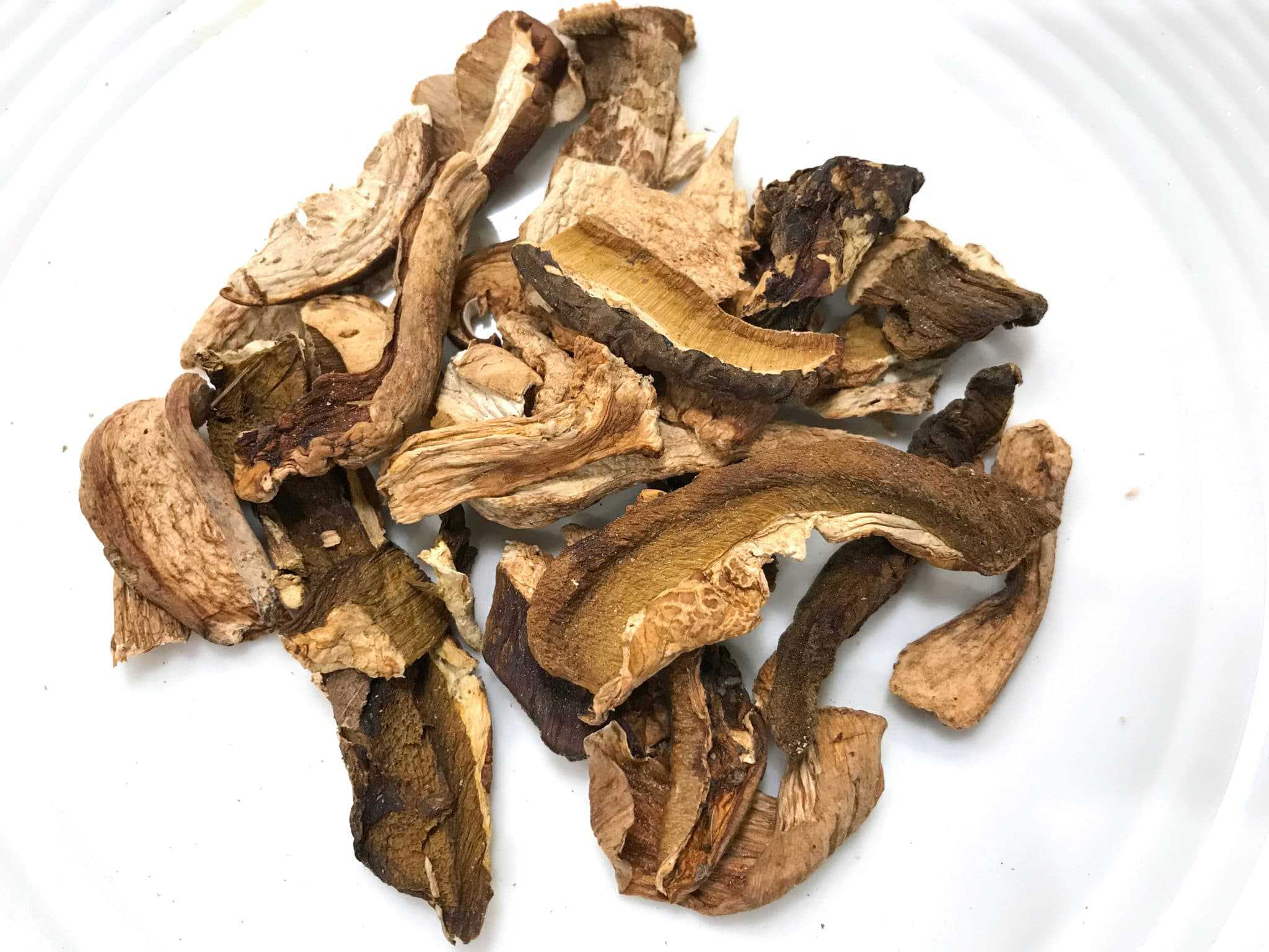 porcini mushrooms dried