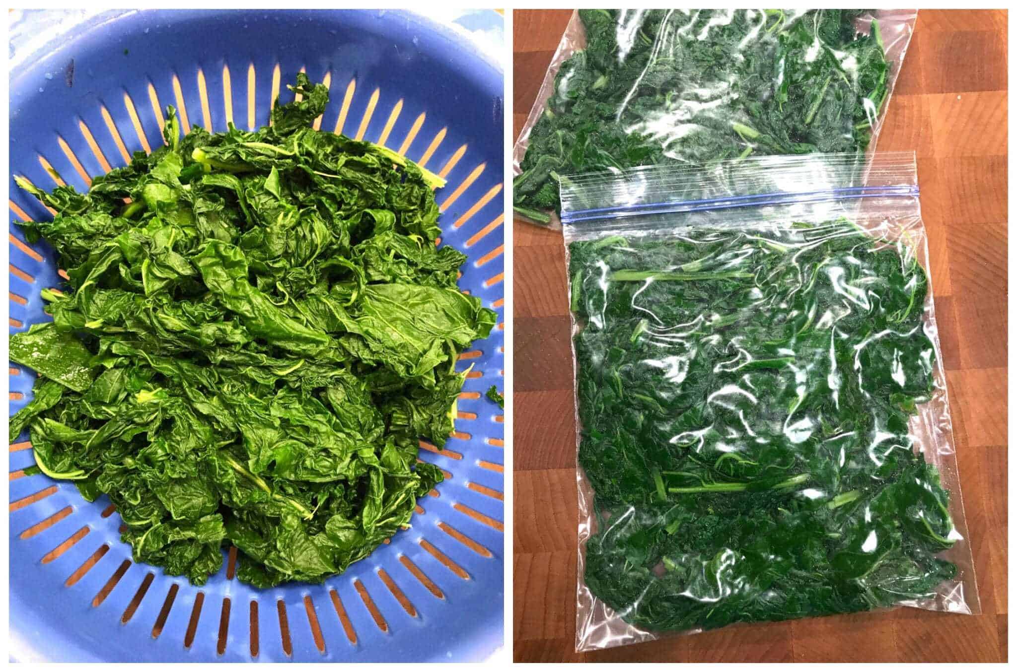 freezing kale how to freeze kale leafy greens spinach collard greens preserving