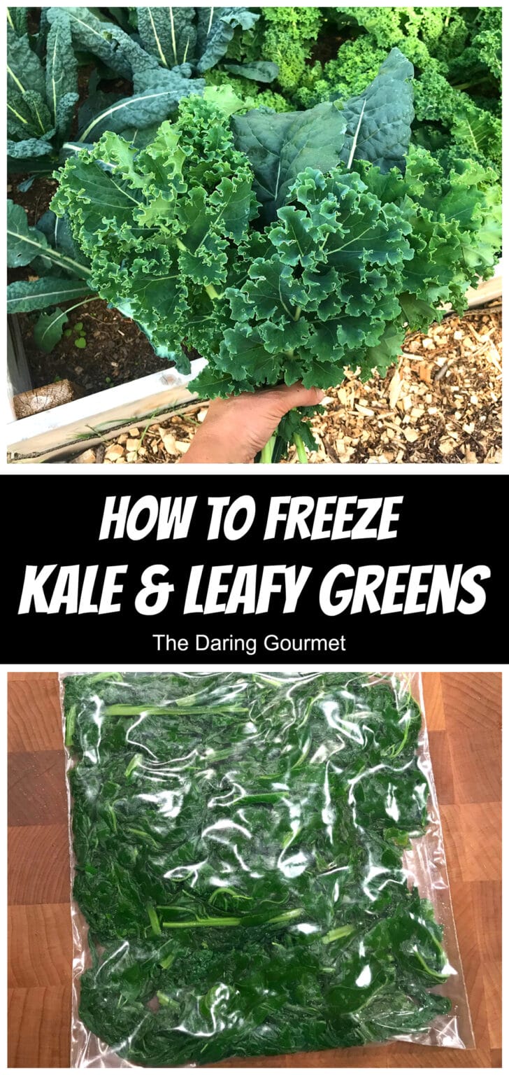 how to freeze kale leafy greens collard greens mustard spinach swiss chard 