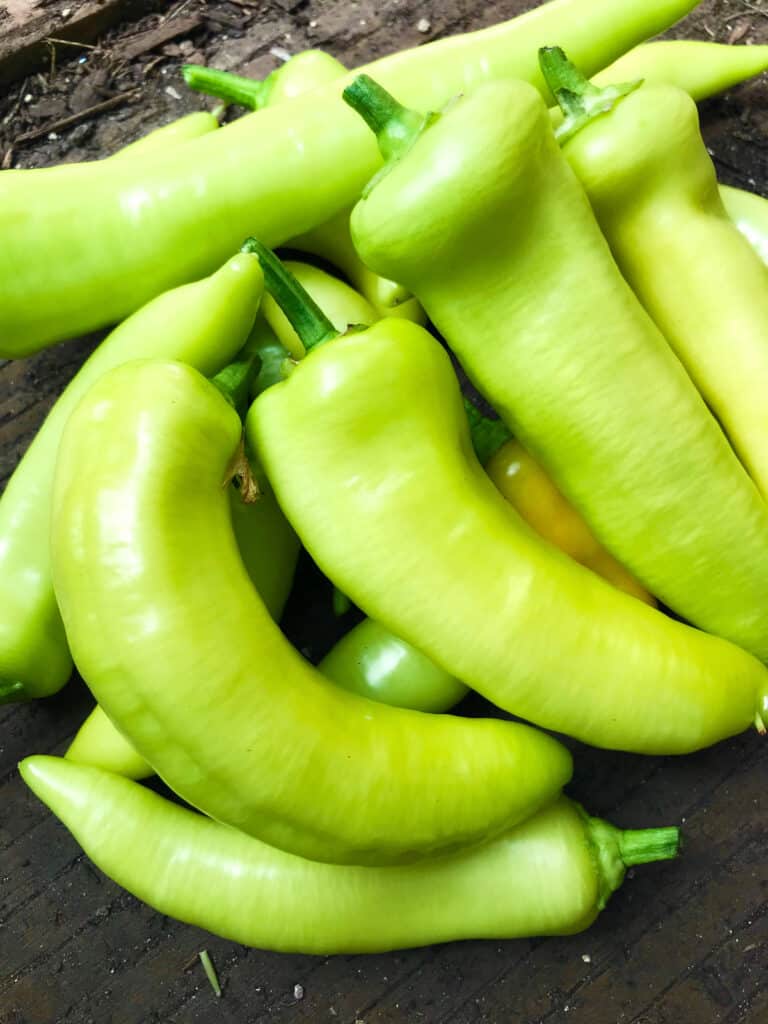 Pickled Banana Peppers The Daring Gourmet