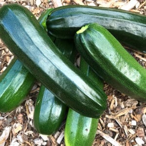 how to freeze zucchini summer squash courgettes