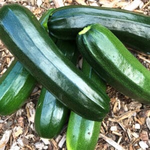 How to Freeze Zucchini - 76
