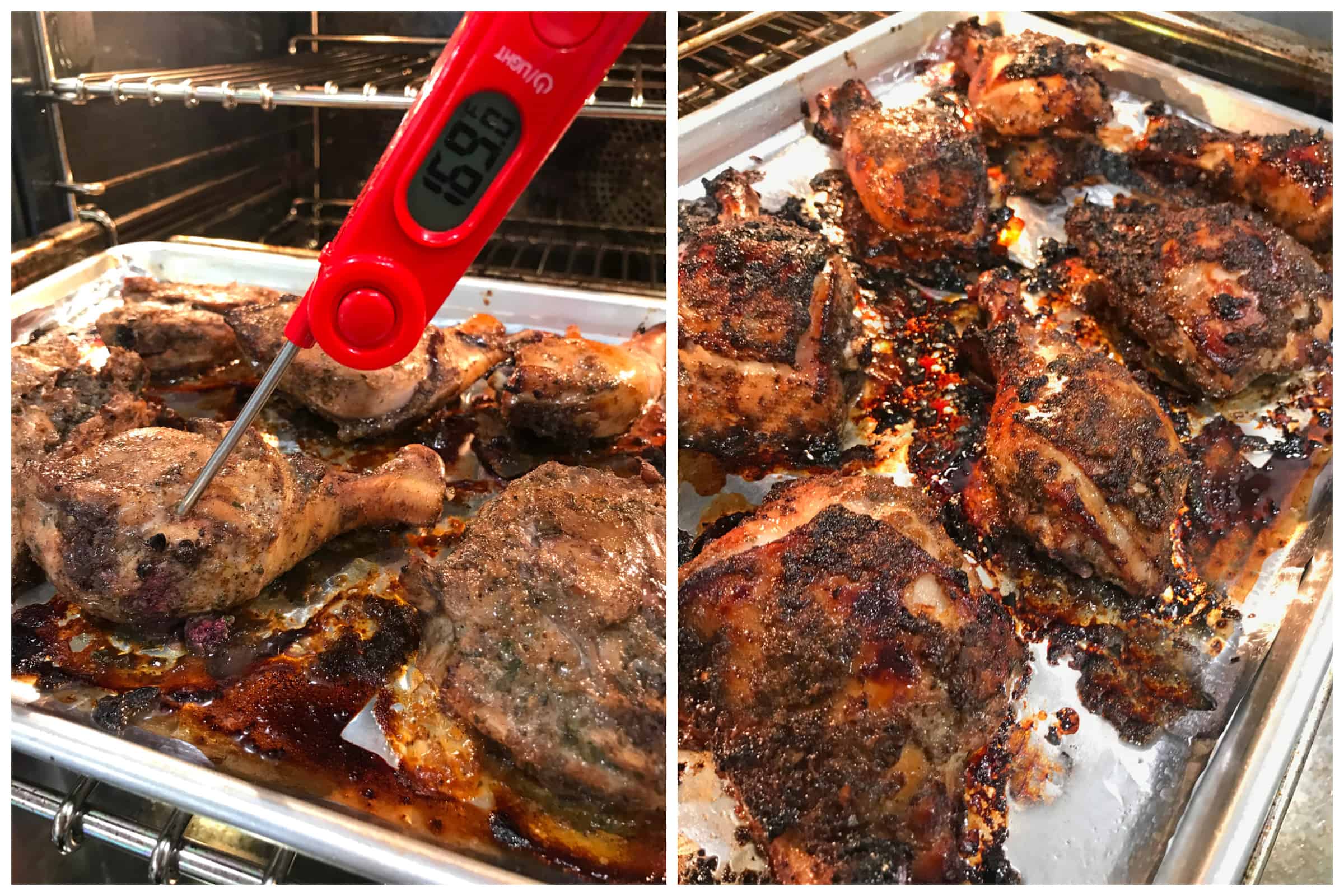 using thermometer to check for doneness
