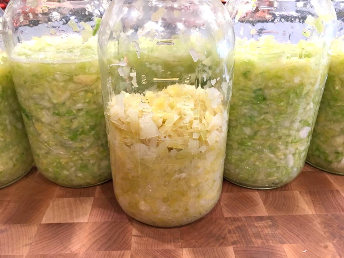 sliced cabbage fermenting in jars