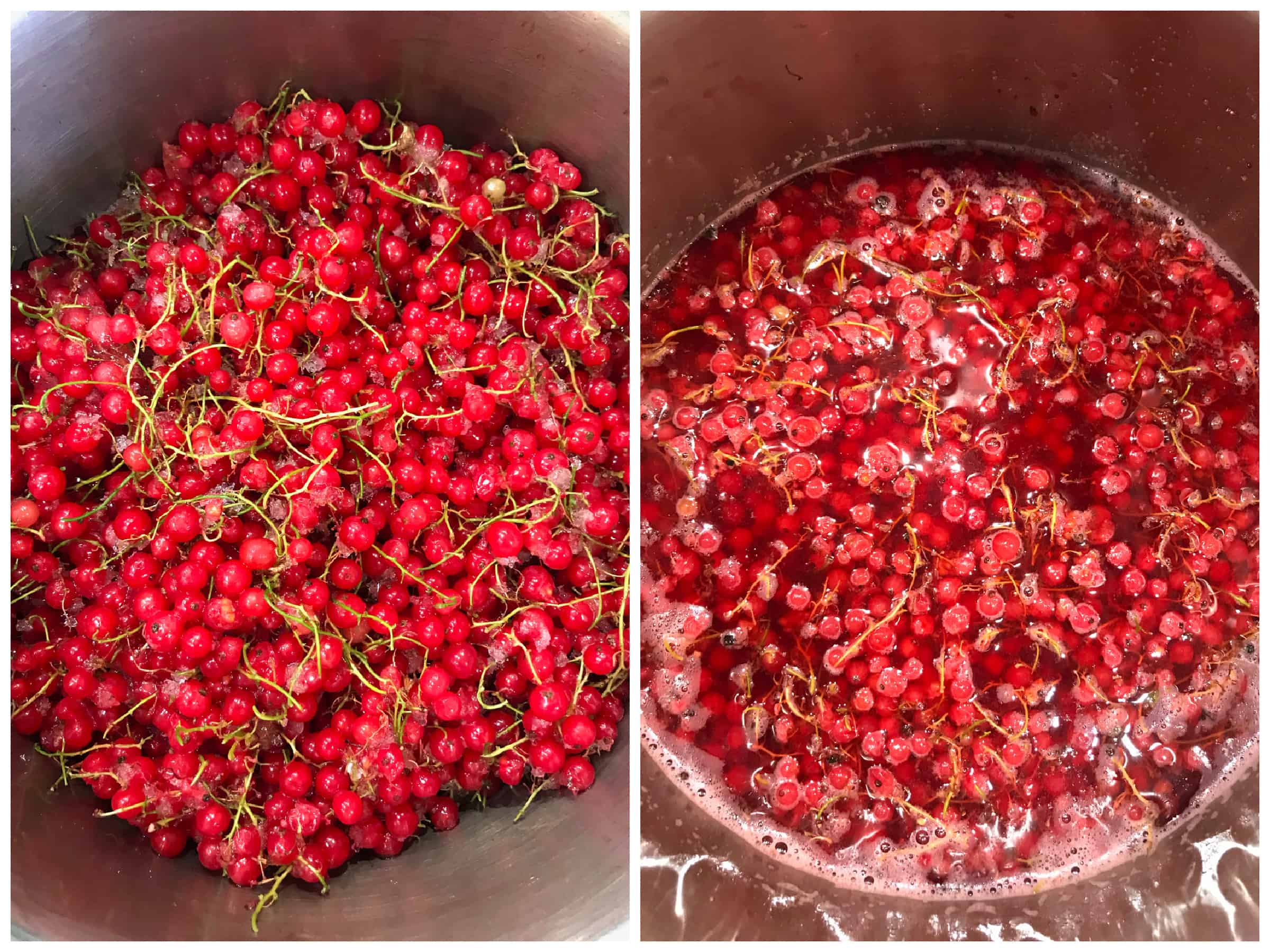 Red Currant Jelly The Daring Gourmet