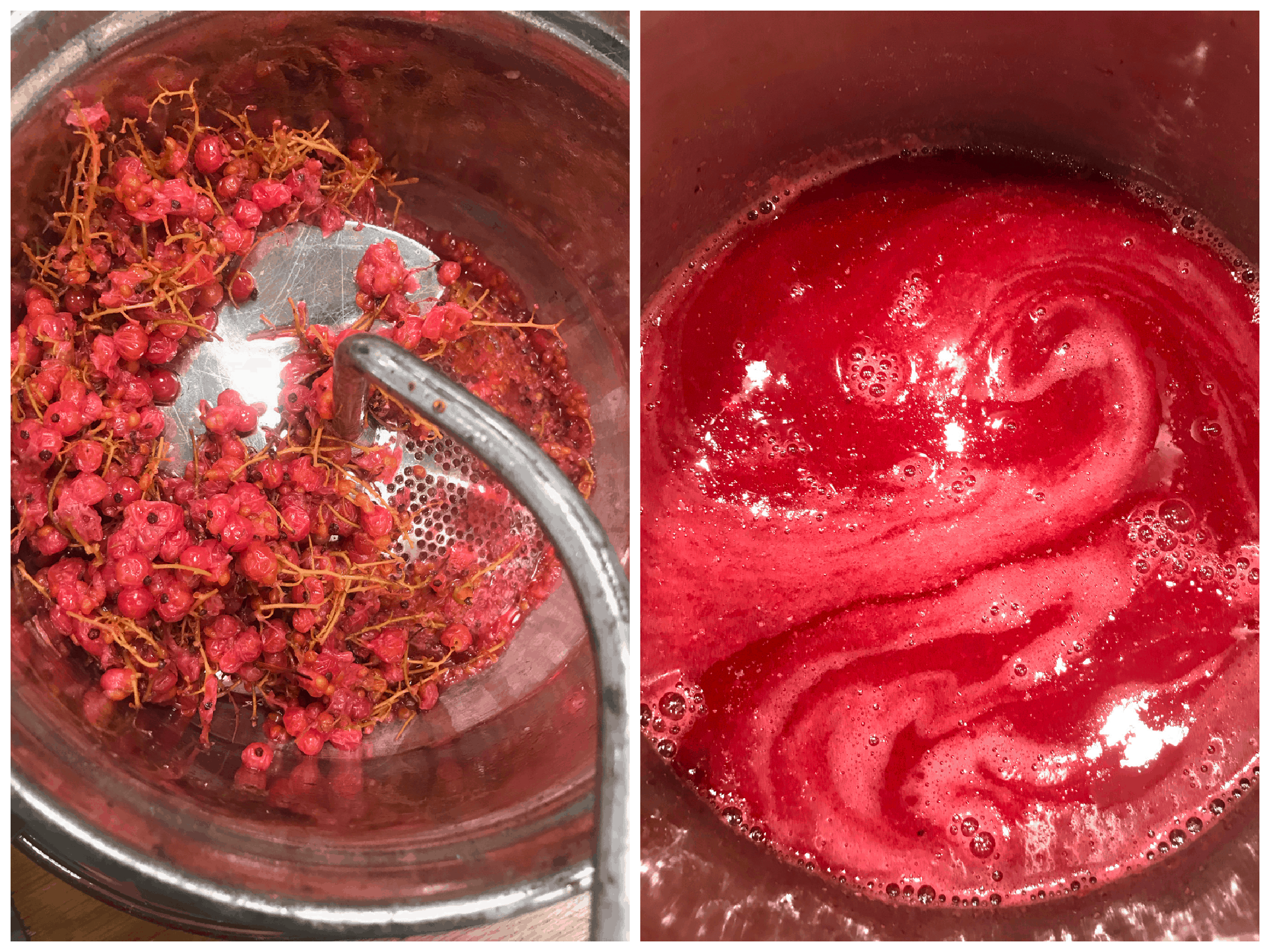 running berries through food mill