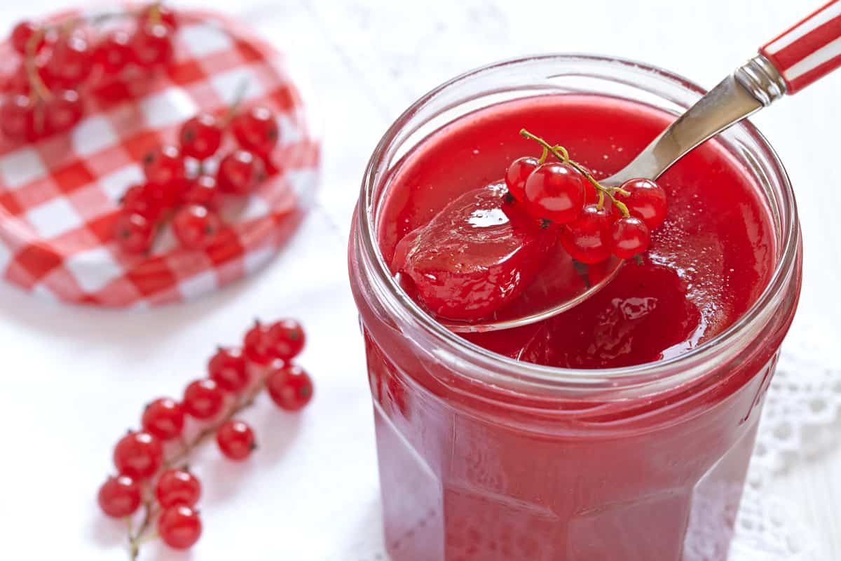 red currant jelly recipe without pectin jam preserves canning water bath