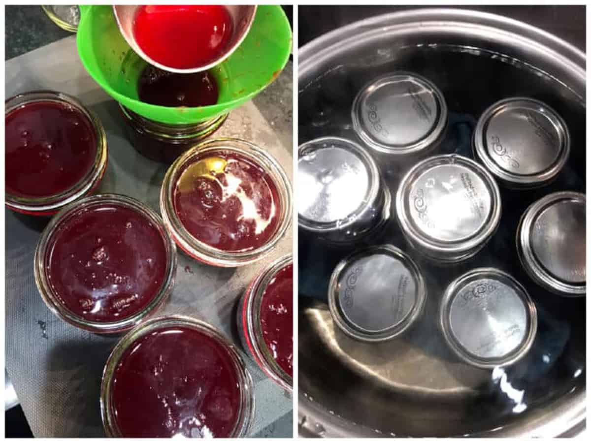 canning red currant jelly in jars water bath