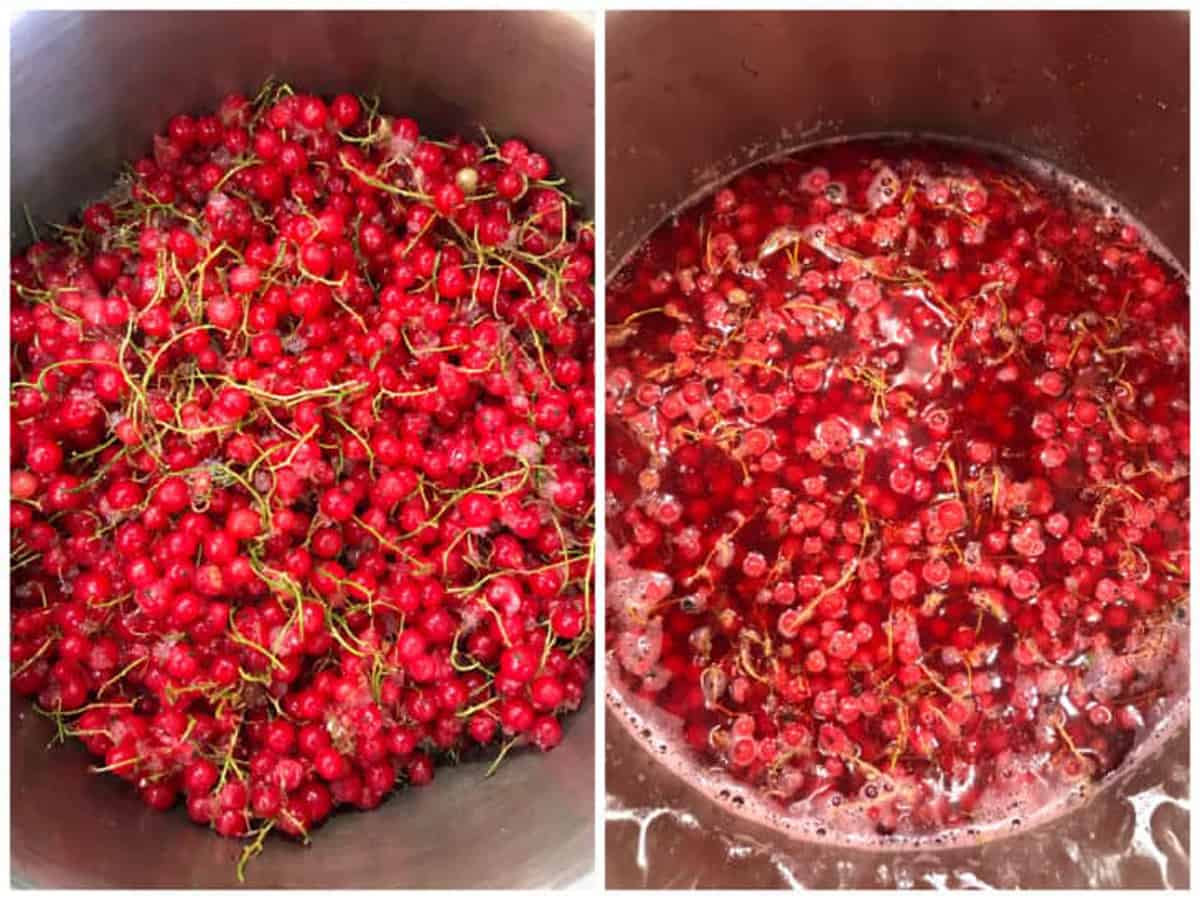cooking the berries in a pot