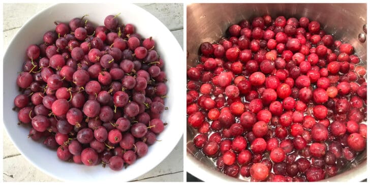 gooseberries in bowl and pot