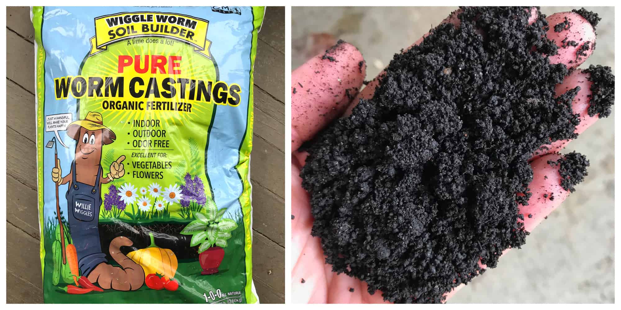 where to buy worm castings