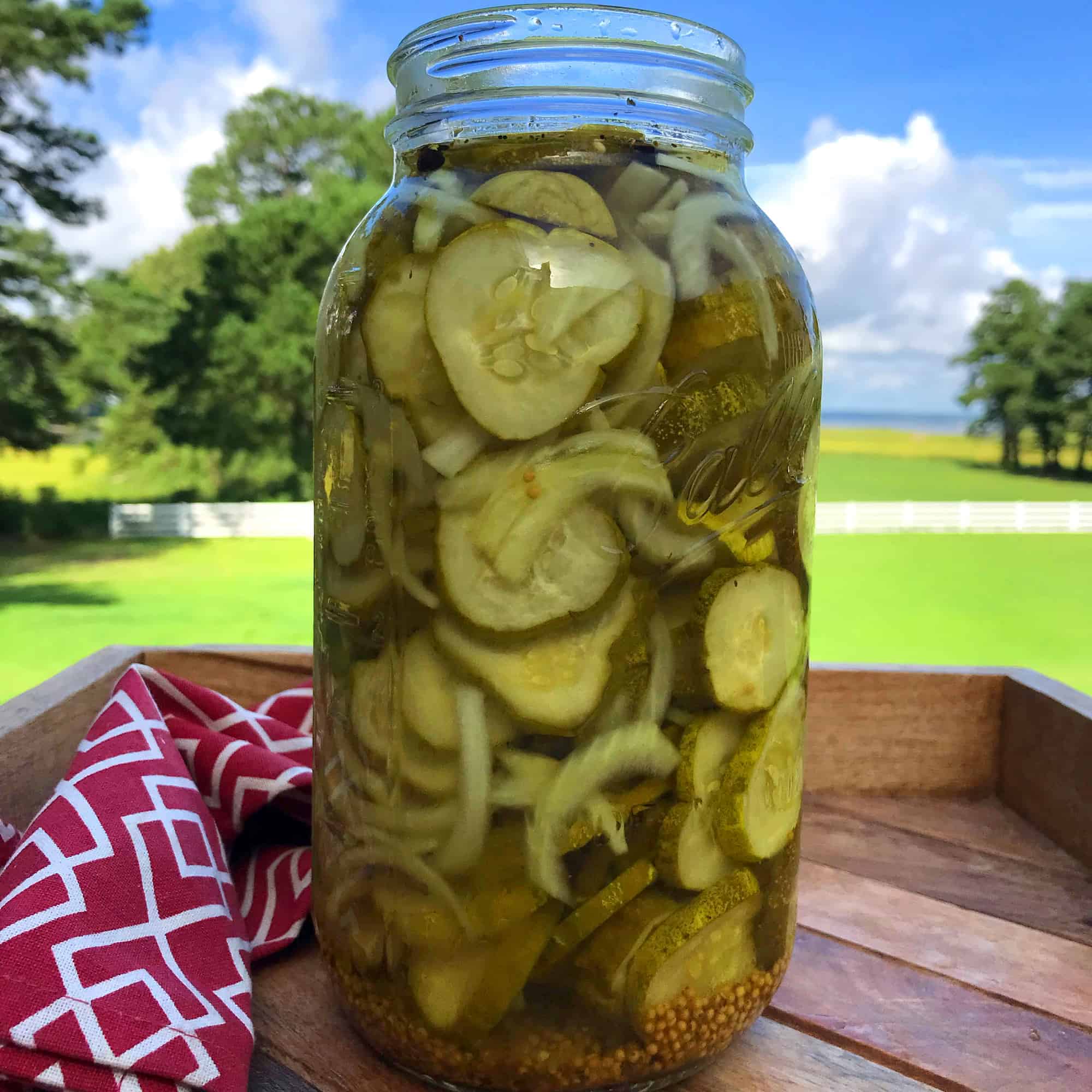Bread and Butter Pickles - The Daring Gourmet