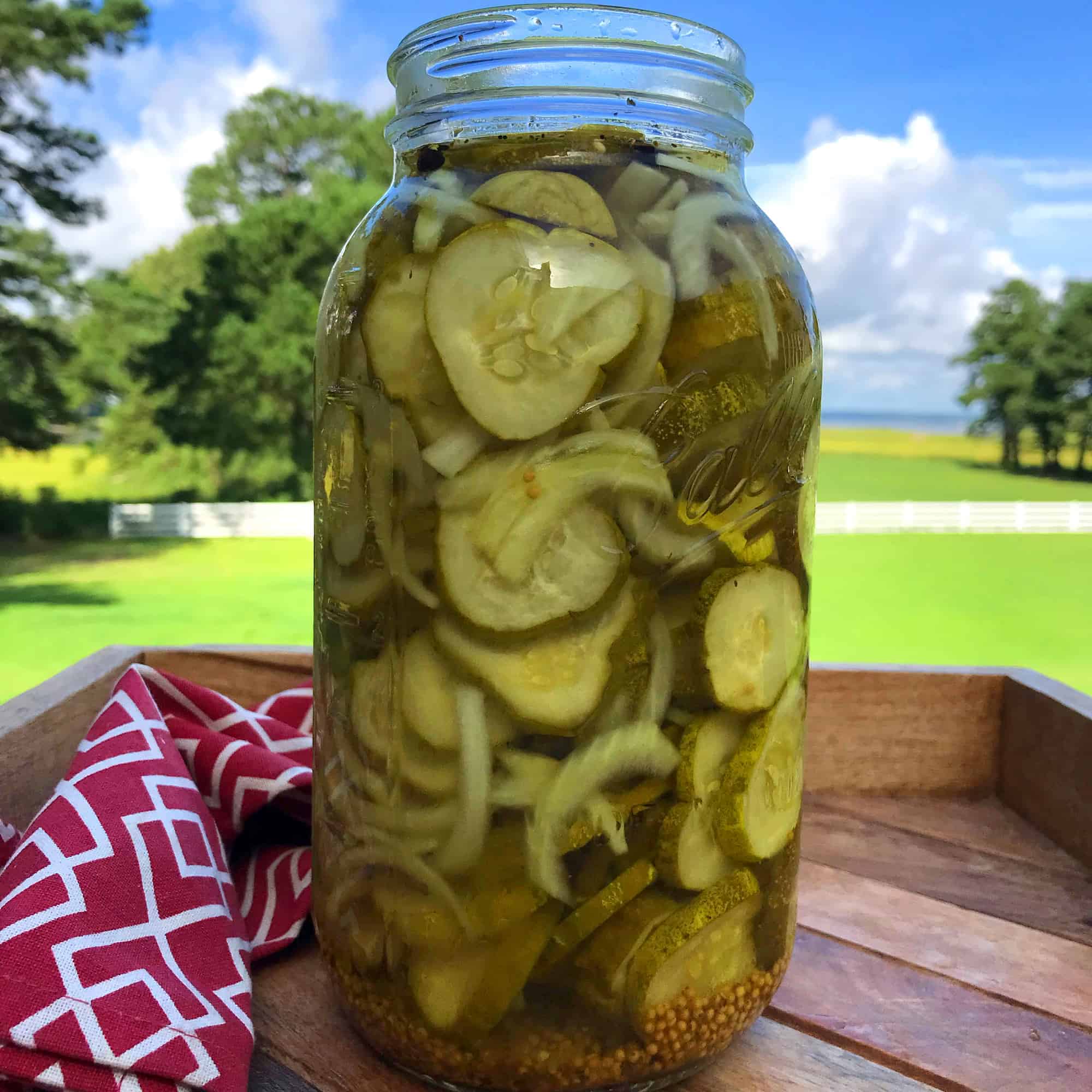 bread and butter pickles recipe refrigerator canning