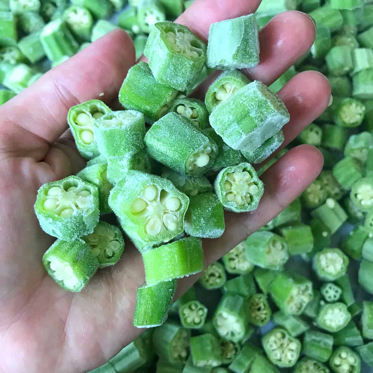 how to freeze okra no blanching