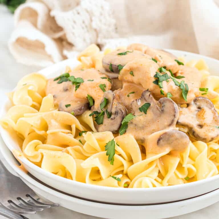chicken stroganoff recipe best from scratch creamy porcini mushrooms white wine sour cream Dijon mustard Aneto broth