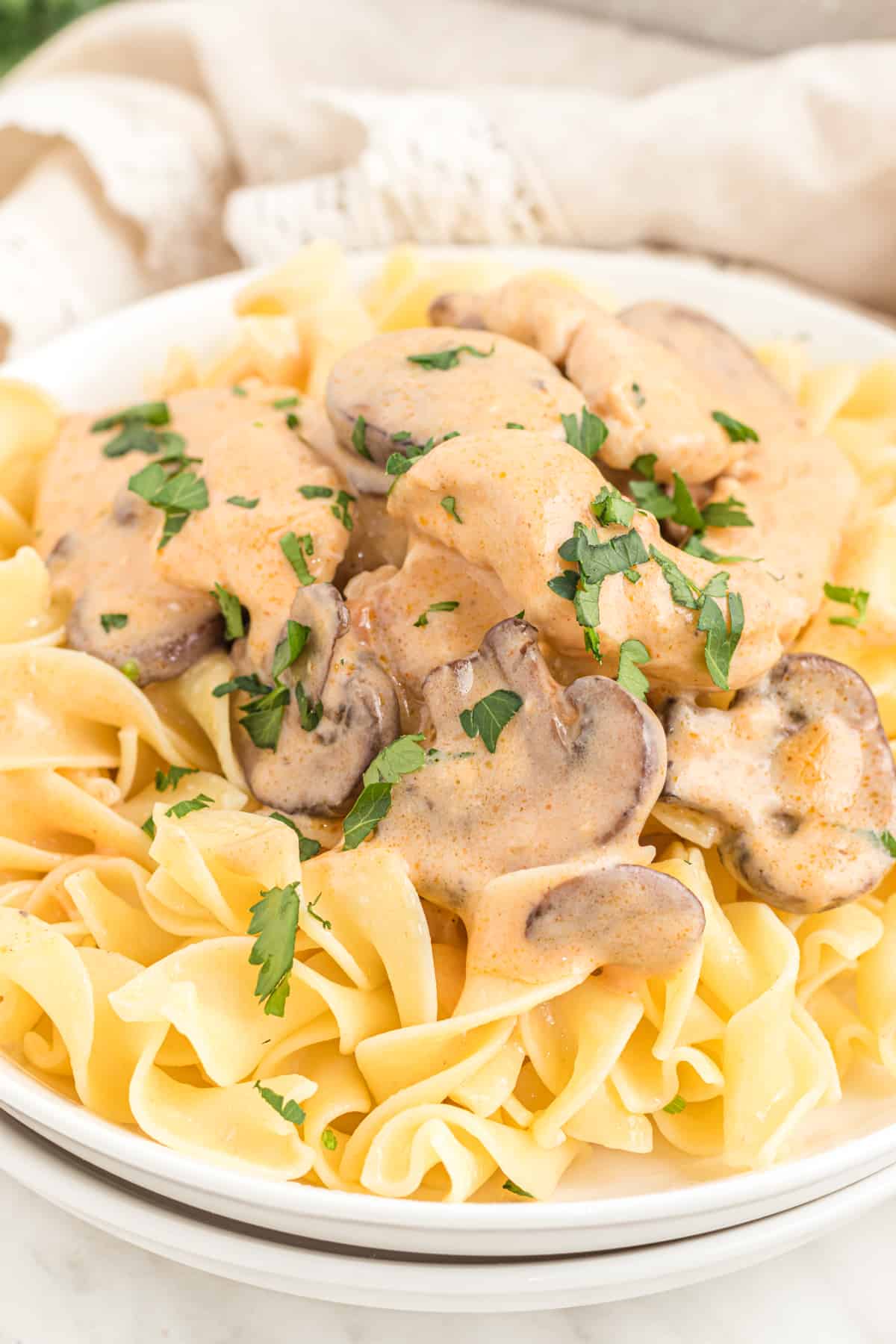 chicken stroganoff recipe best from scratch creamy porcini mushrooms white wine sour cream Dijon mustard Aneto broth