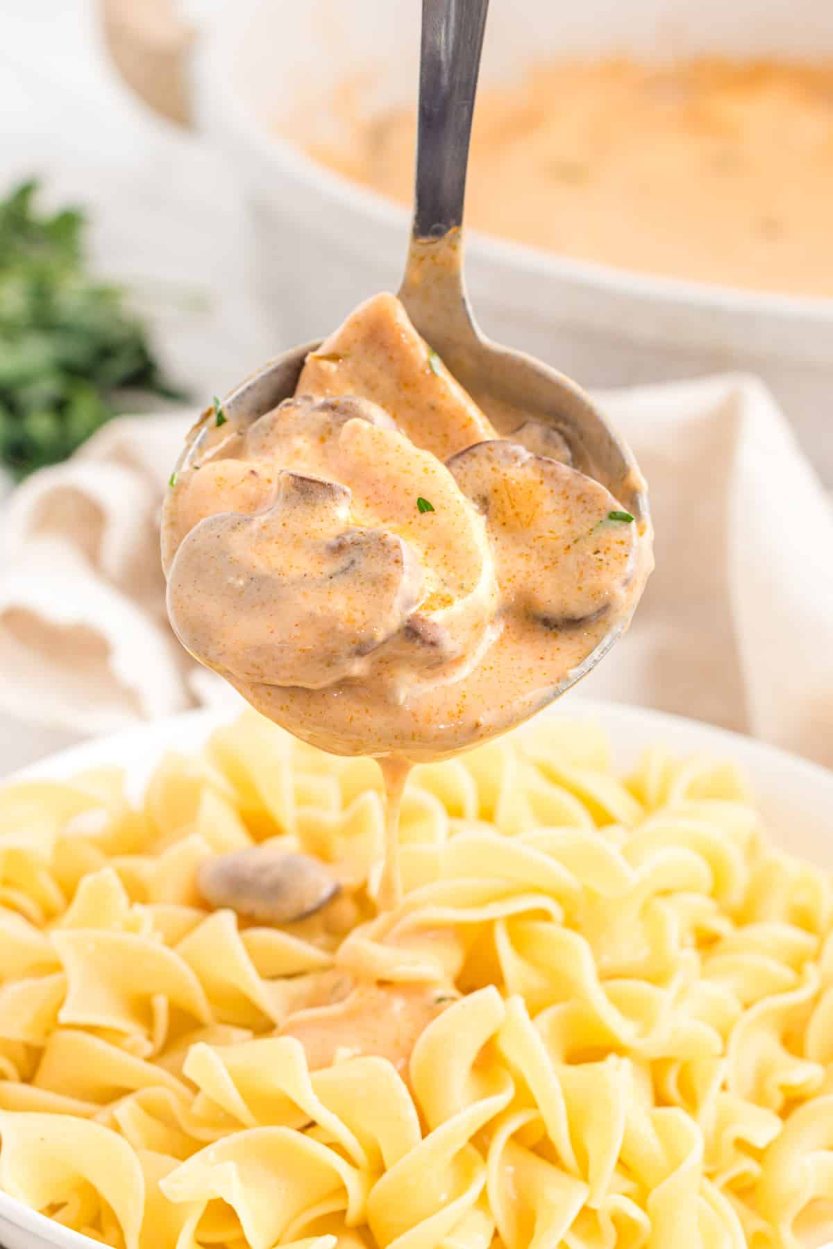 chicken stroganoff recipe best from scratch creamy porcini mushrooms white wine sour cream Dijon mustard Aneto broth