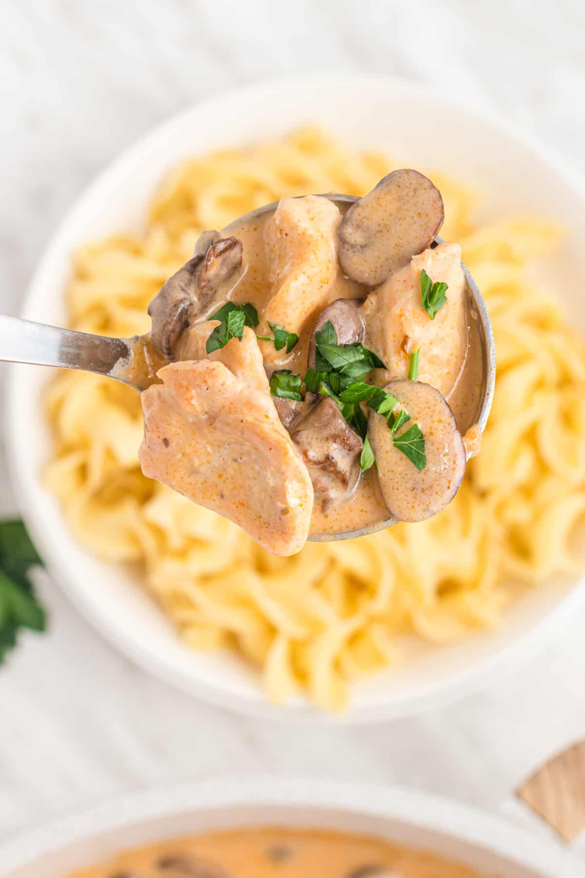 chicken stroganoff recipe best from scratch creamy porcini mushrooms white wine sour cream Dijon mustard Aneto broth