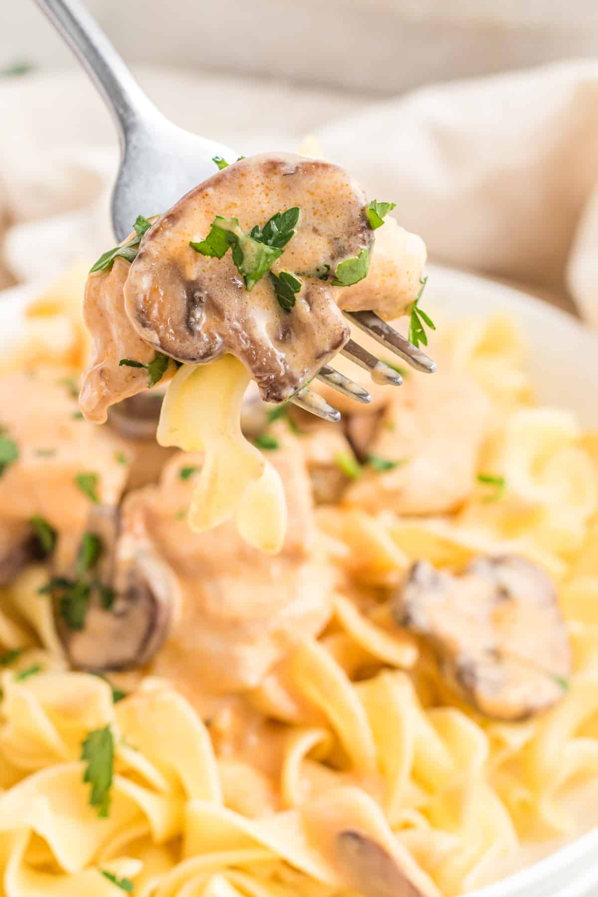 chicken stroganoff recipe best from scratch creamy porcini mushrooms white wine sour cream Dijon mustard Aneto broth