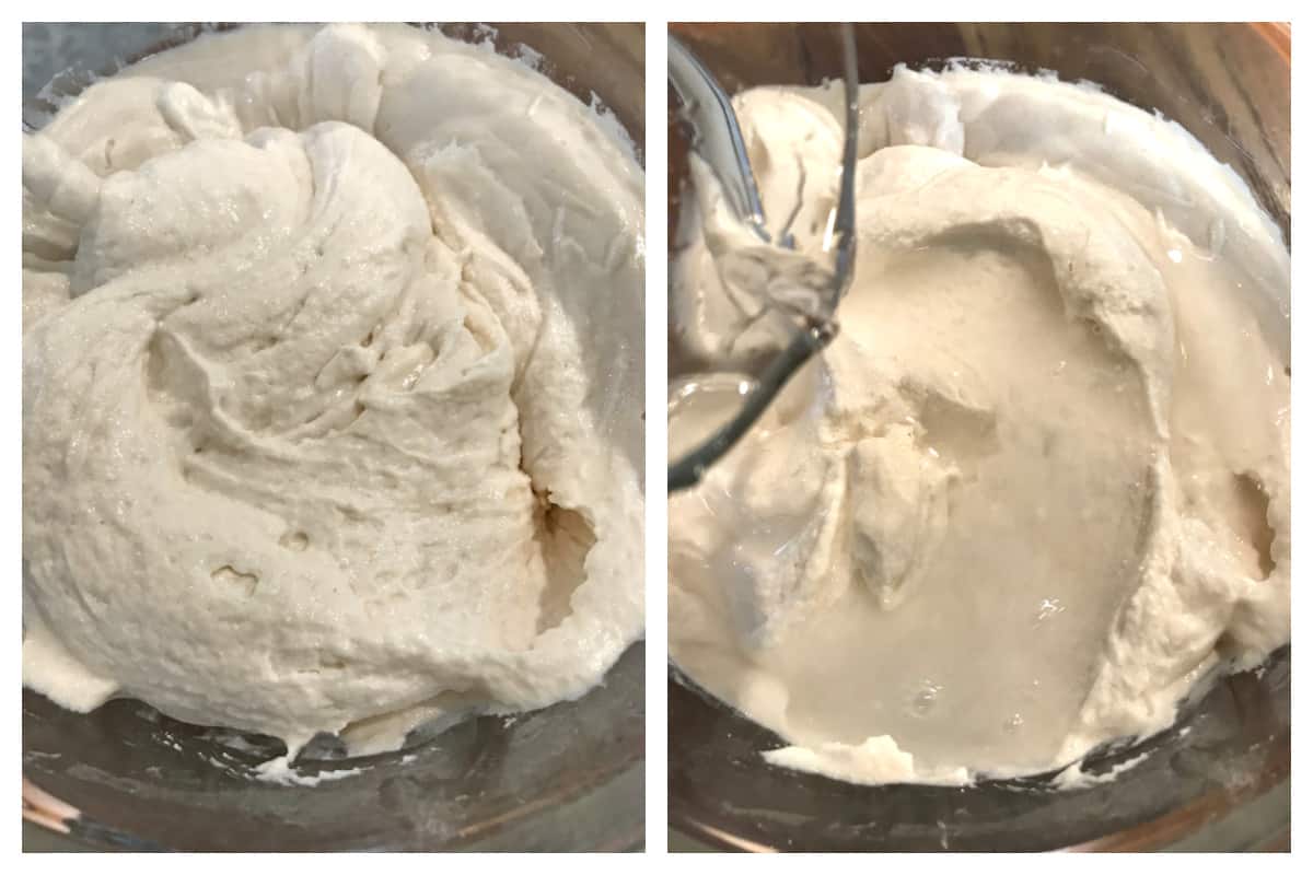 fermented batter