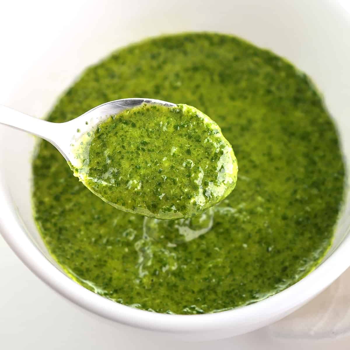 cilantro sauce recipe olive oil garlic lime juice lemon