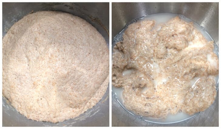 letting yeast dough rise