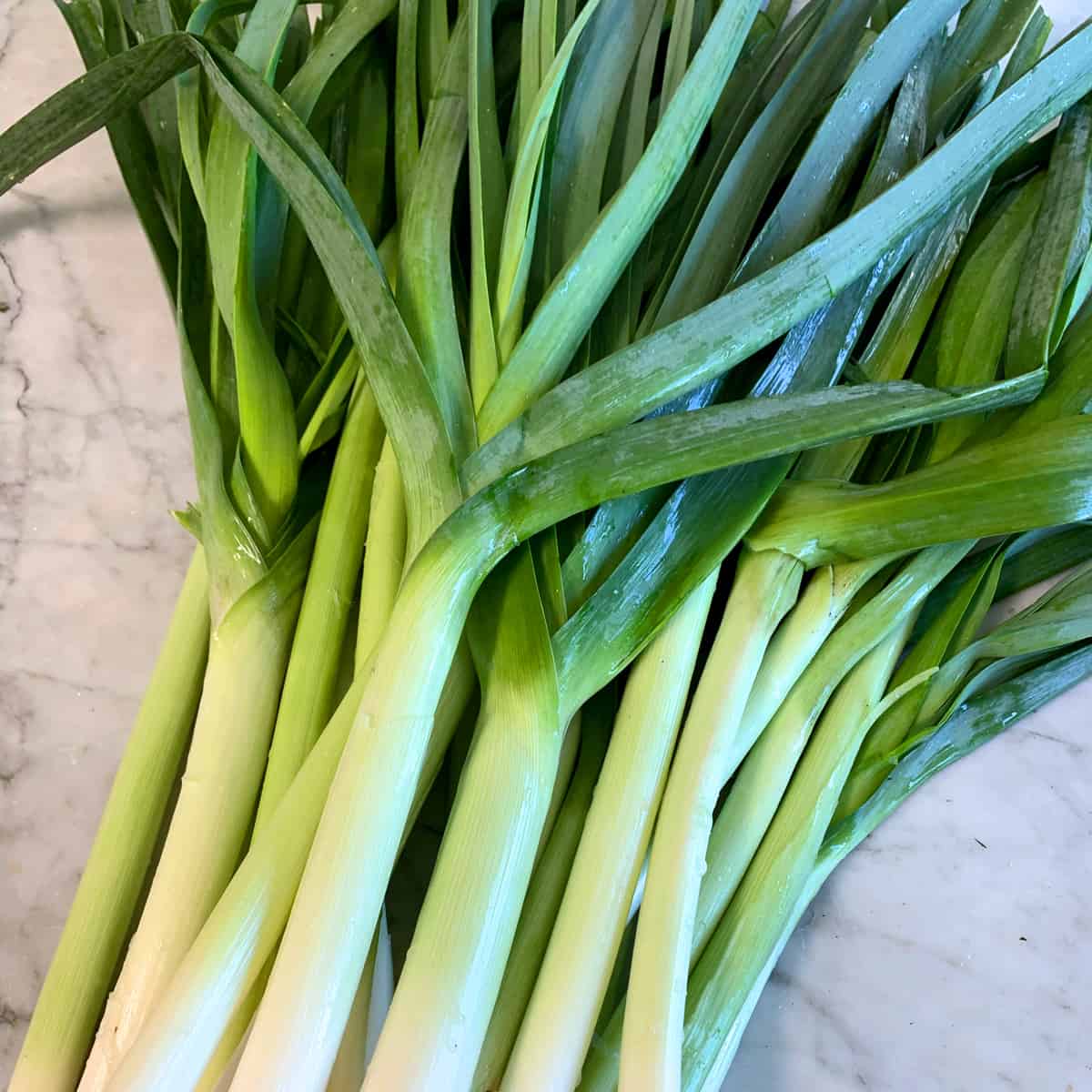 how to freeze leeks storing leeks