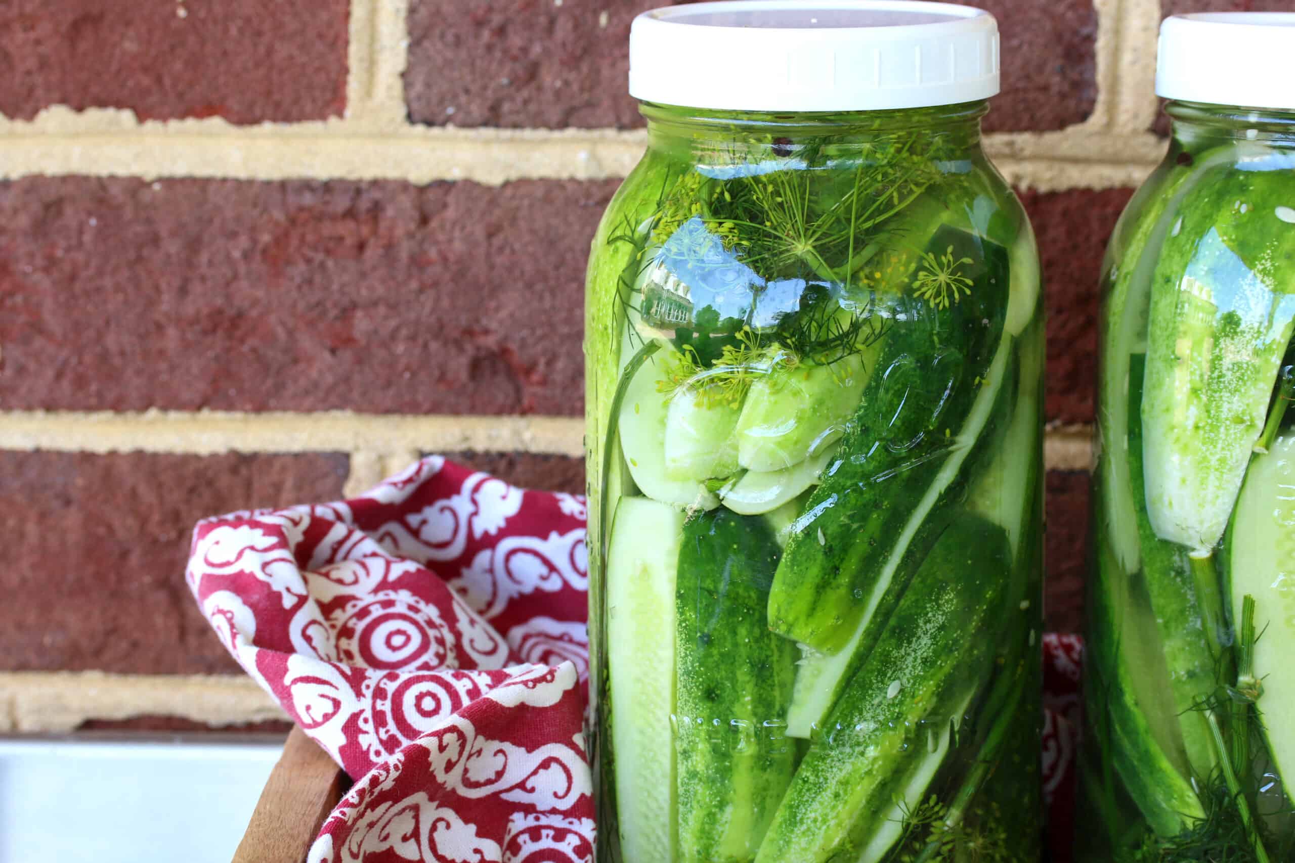 refrigerator pickles recipe best easy dill crunchy crispy