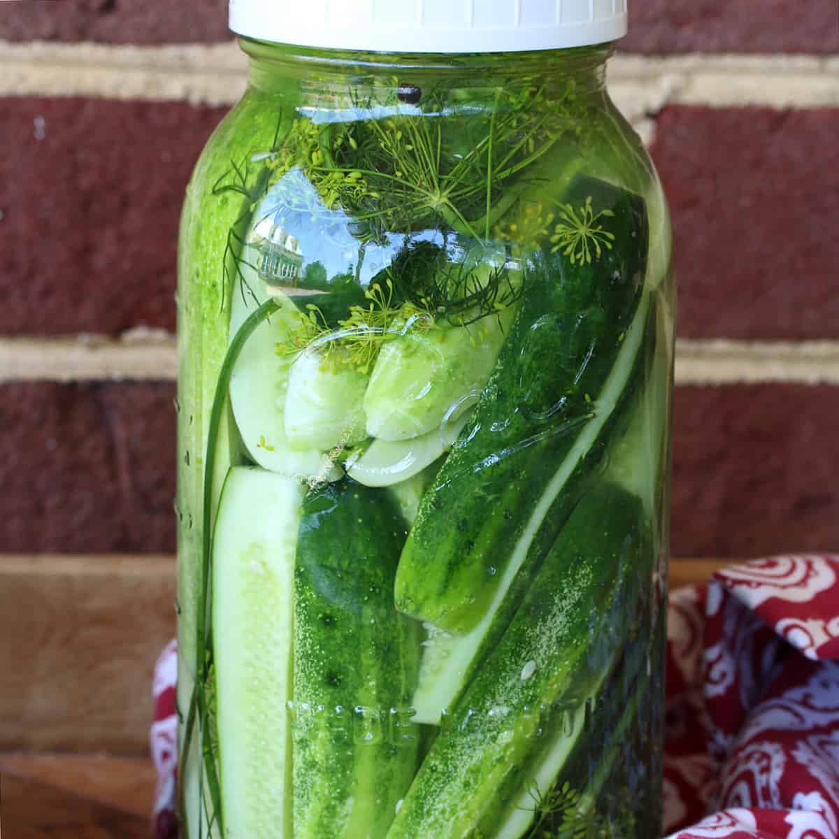 refrigerator pickles recipe best easy dill crunchy crispy