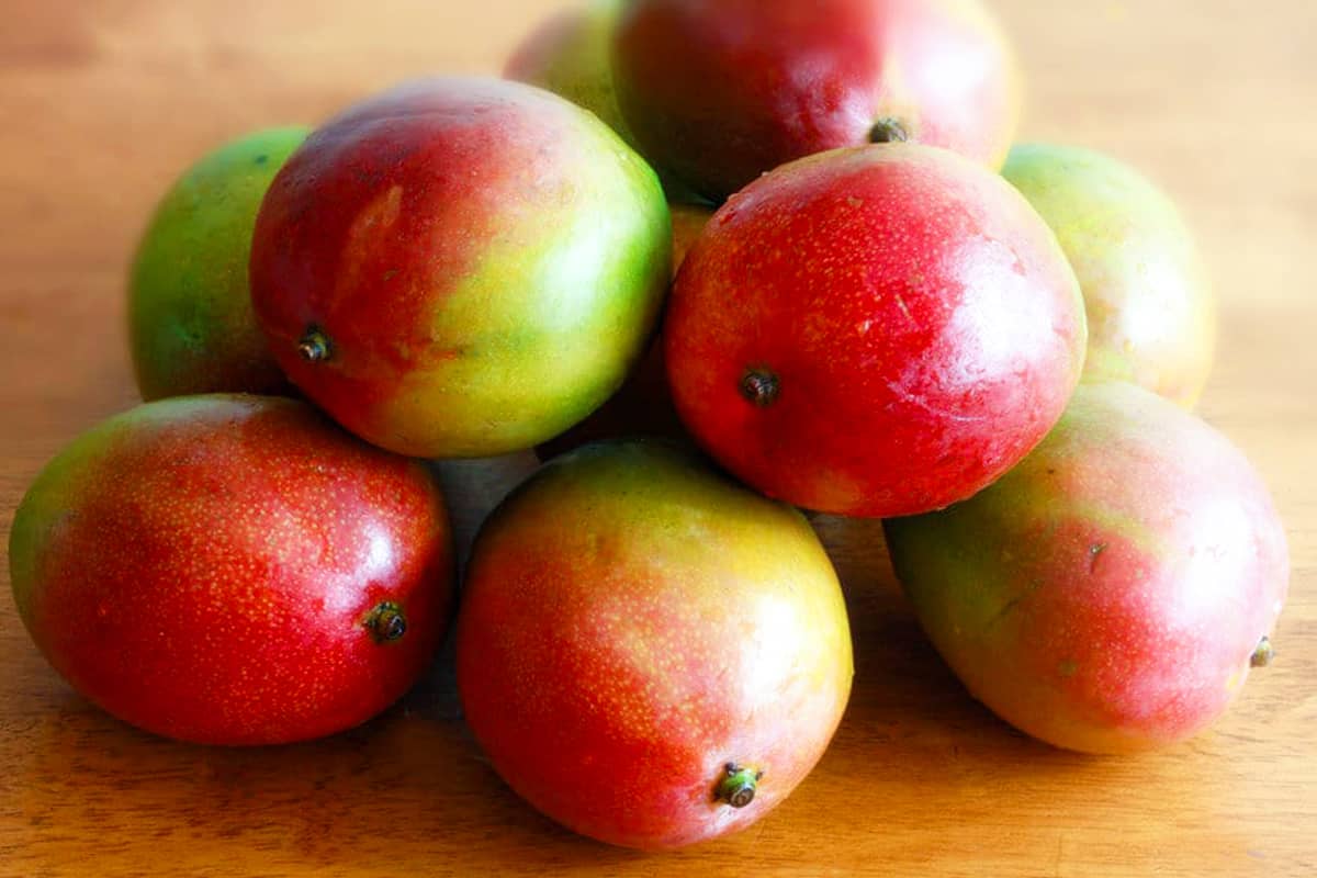 fresh fruit