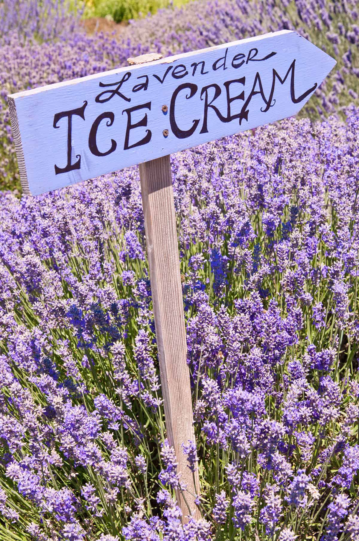 lavender ice cream recipe sign 