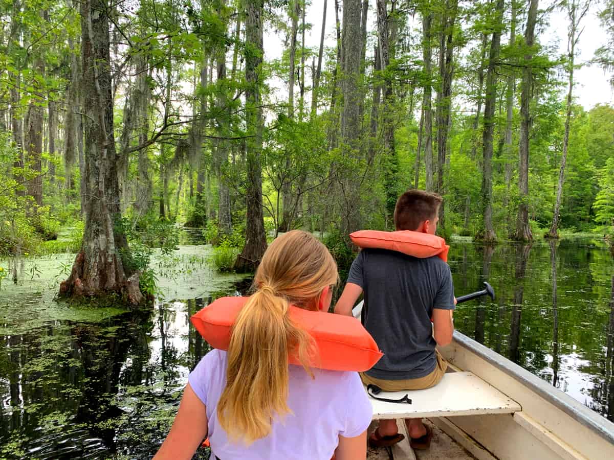 south carolina swamp the daring gourmet