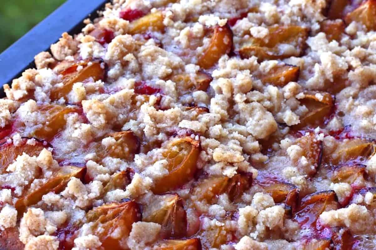 German Plum Cake  Zwetschgenkuchen  - 3