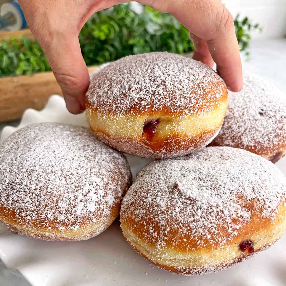 berliner recipe authentic german donuts doughnuts pfannkuchen berlin raspberry jelly jam apricot