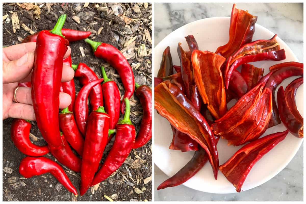 how to make paprika powder homemade recipe Hungarian peppers ground dried diy
