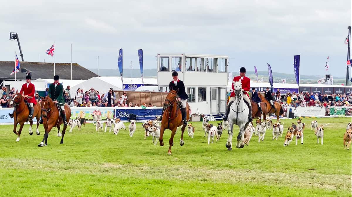royal cornwall show foxhounds horses