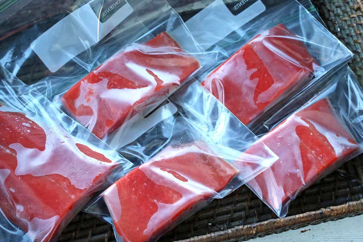 Cranberry Salmon - 24