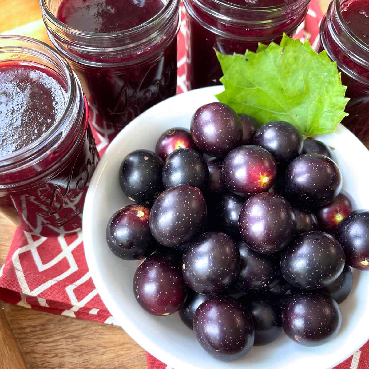 Muscadine Jelly