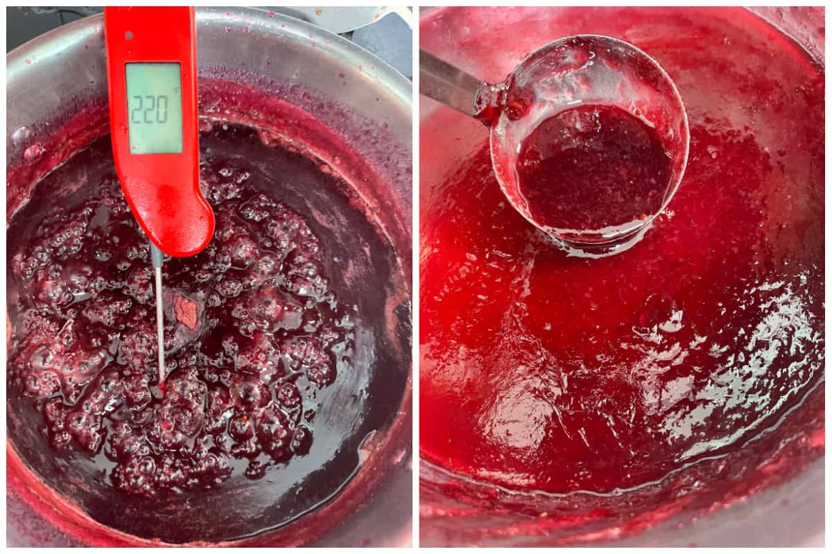 muscadine jelly recipe without pectin how to make homemade scuppernong jam southern grape