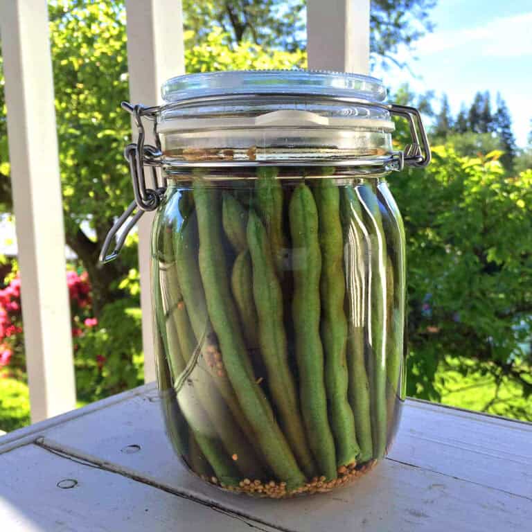 pickled green beans recipe homemade dilly beans diy brine preserving