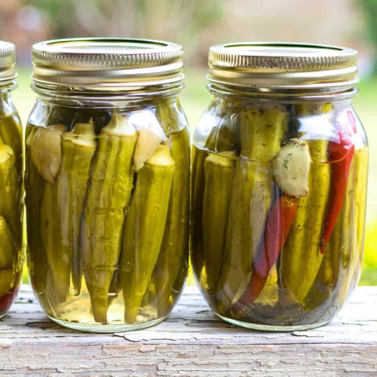 pickled okra recipe how to make homemade pickles refrigerator canning water bath