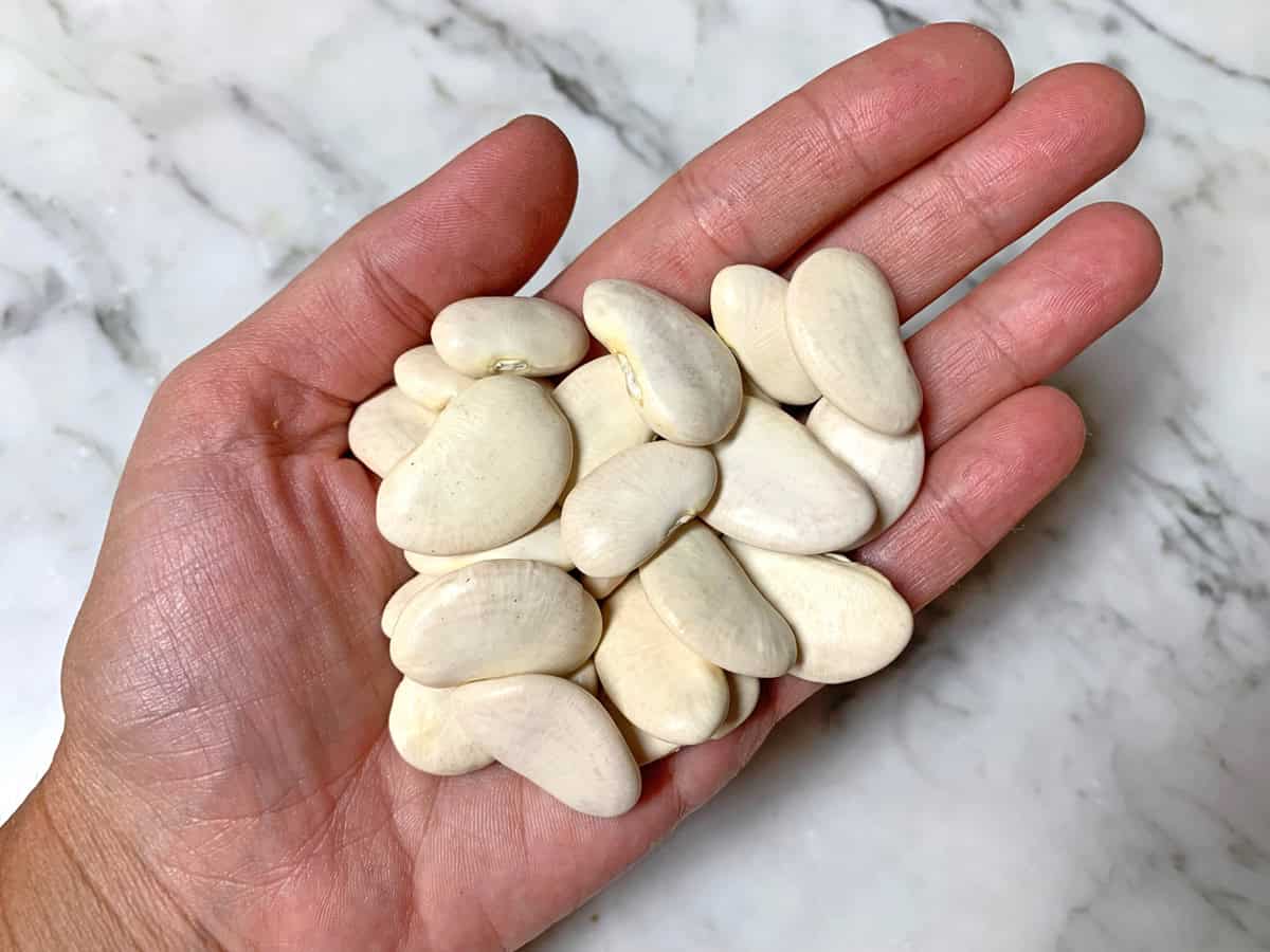dried butter beans