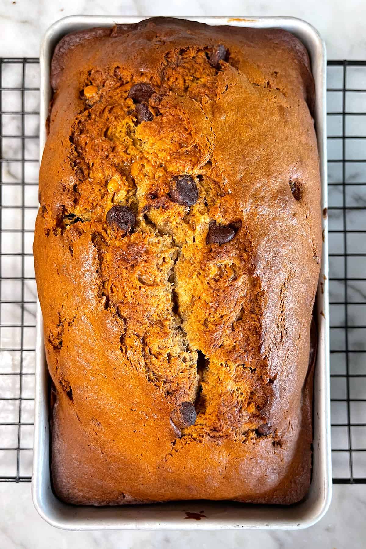 sourdough banana bread recipe best long ferment discard chocolate chip butterscotch peanut butter